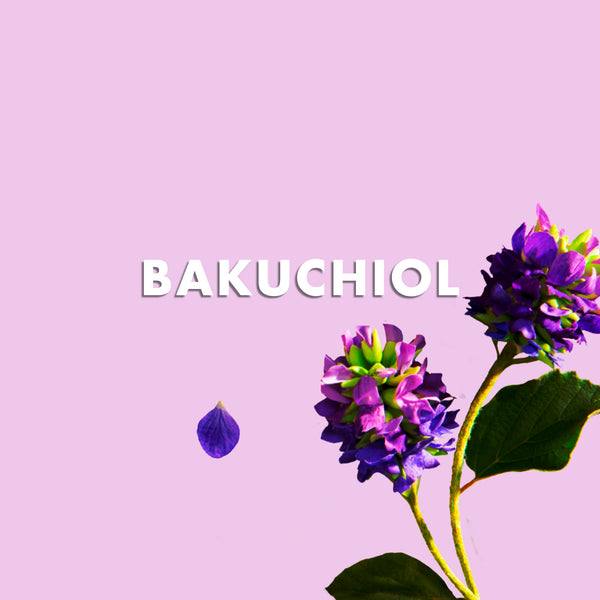 Ingredientes: Bakuchiol