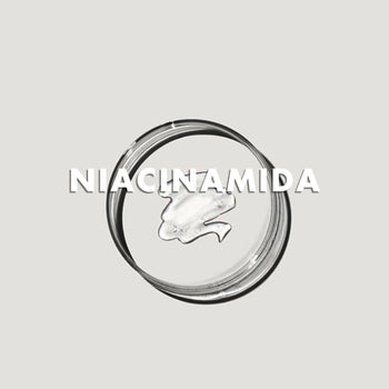 Ingredientes: Niacinamida
