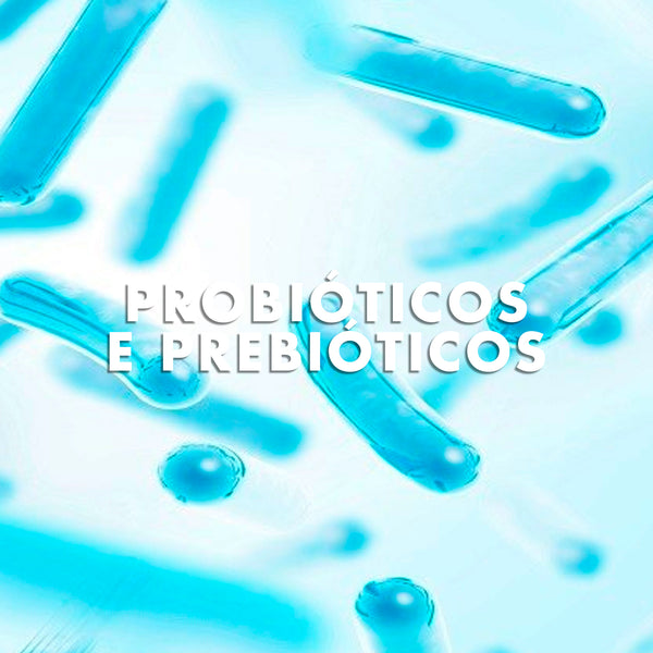Ingrediente: Probióticos e Prébióticos