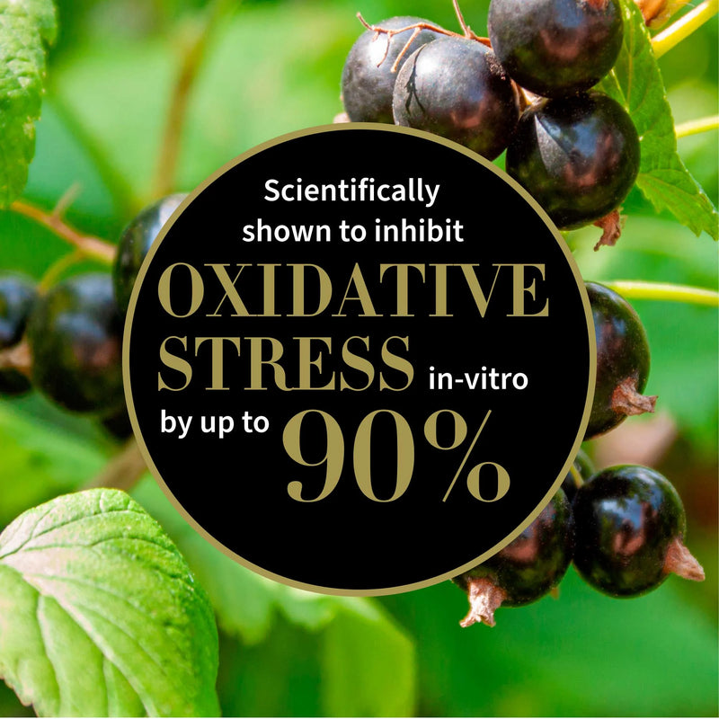 Antioxidant Serum - Worship Skin Defense Antioxidant Serum