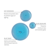 Evolve Blue Velvet Ceramide Serum (suero facial)