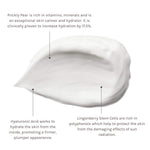 Evolve Climate Defense Facial Cream