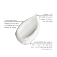 Evolve Climate Defense Facial Cream