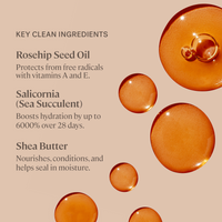 ILIA Bálsamo de Lábios com Cor Balmy Tint Hydrating Lip Balm