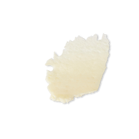 Evolve Lip Treat (bálsamo labial vegano)