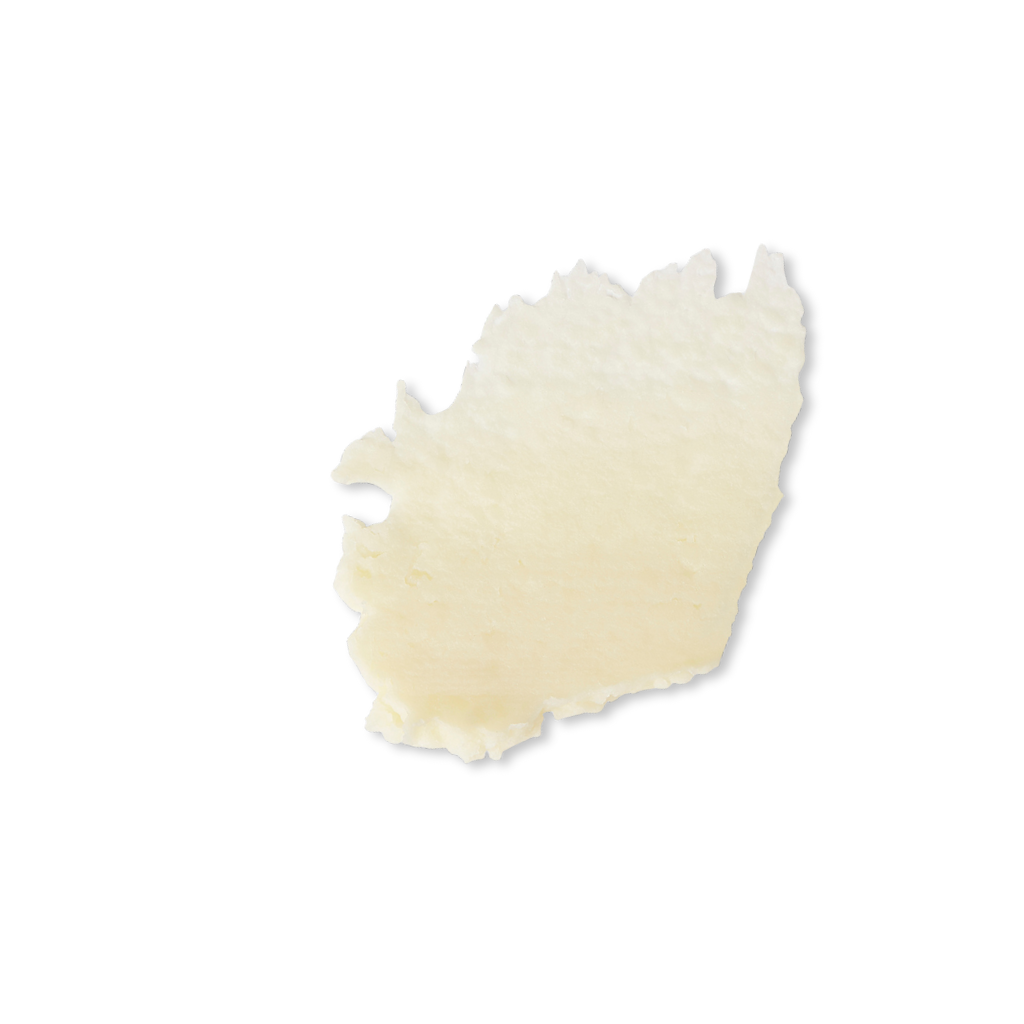 Evolve Lip Treat (bálsamo labial vegano)