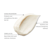 Pro+ Ectoin Soothing Cream (Face Cream)