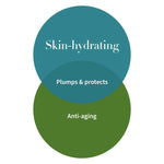 Rich Antioxidant Toner - Ananda Gentle Toner