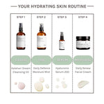Hyaluronic Acid Natural Moisturizing Serum